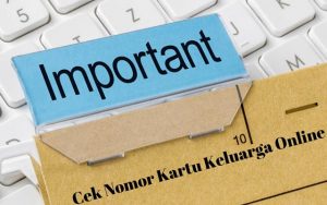 6 Cara Cari Nomor Kartu Keluarga  Online Mudah Semua 